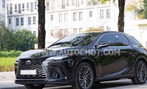 Xe Lexus RX 350h Luxury 2025