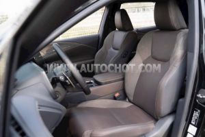 Xe Lexus RX 350h Luxury 2025