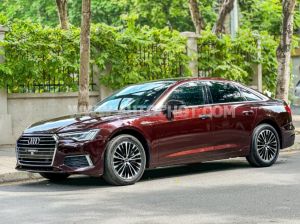 Xe Audi A6 45 TFSI 2020