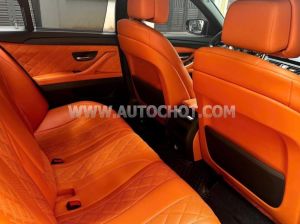 Xe BMW 5 Series 520i 2012