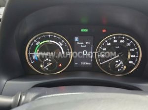 Xe Lexus LM 300h Royal Lounge 2020