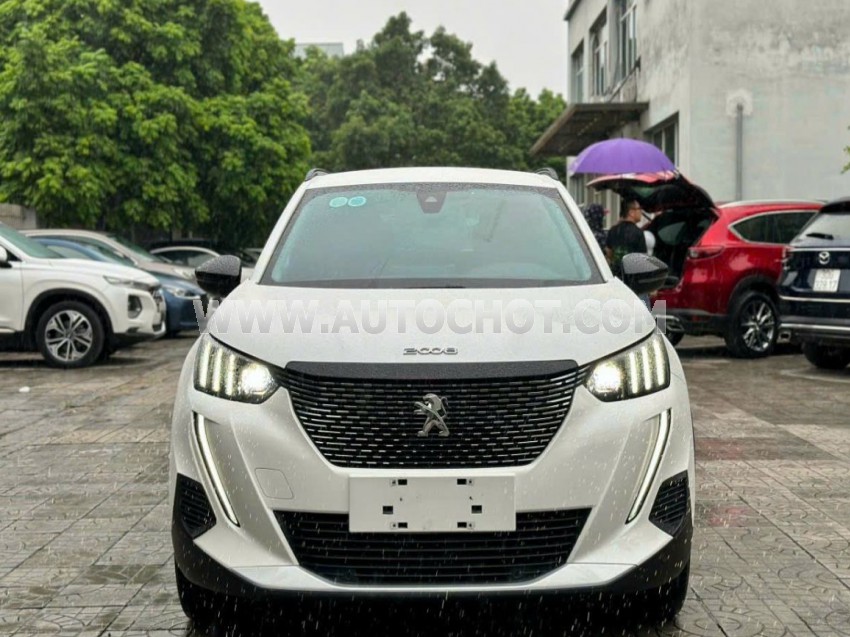 Xe Peugeot 2008 GT Line 1.2 AT 2021