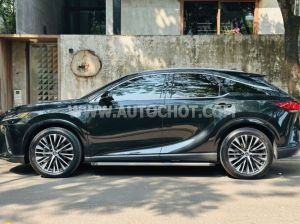 Xe Lexus RX 350 Premium 2023