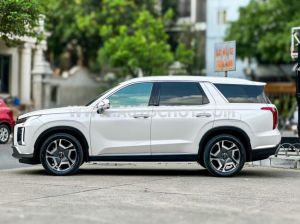 Xe Hyundai Palisade Prestige 2.2 AT HTRAC 2024