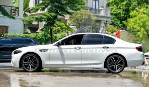 Xe BMW 5 Series 520i 2012