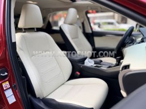 Xe Lexus NX 300 2017