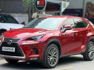 Xe Lexus NX 300 2017