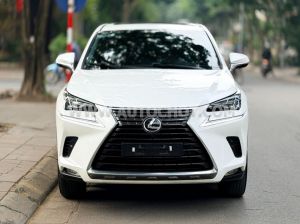 Xe Lexus NX 300 2018