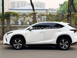 Xe Lexus NX 300 2018