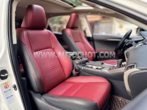 Xe Lexus NX 300 2018