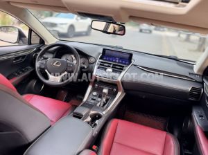 Xe Lexus NX 300 2018