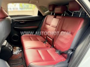 Xe Lexus NX 300 2018