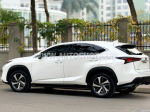 Xe Lexus NX 300 2018