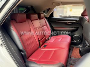 Xe Lexus NX 300 2018