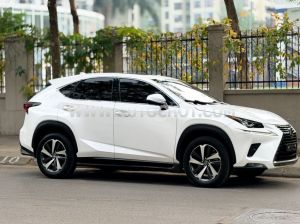 Xe Lexus NX 300 2018