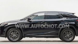 Xe Lexus RX 350 2018