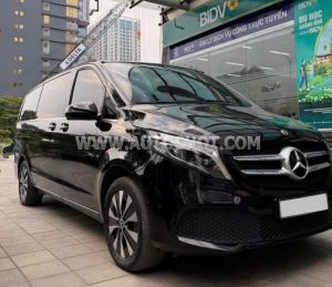 Xe Mercedes Benz V class V250 AMG 2022