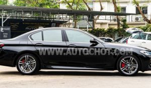 Xe BMW 5 Series 520i 2016