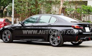 Xe BMW 5 Series 520i 2016