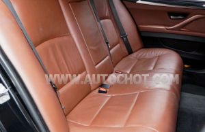 Xe BMW 5 Series 520i 2016