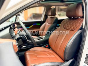 Xe Hyundai SantaFe Cao cấp 2.2L HTRAC 2021