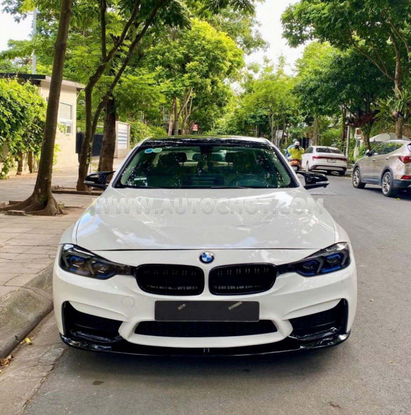 BMW 3 Series 320i 2013