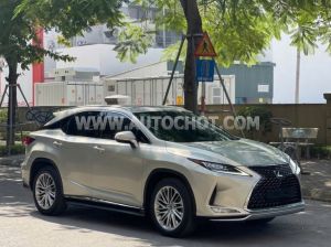 Xe Lexus RX 350 2019