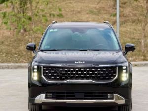 Xe Kia Carnival Signature 2.2D 2025