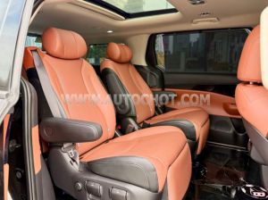 Xe Kia Carnival Signature 2.2D 2025