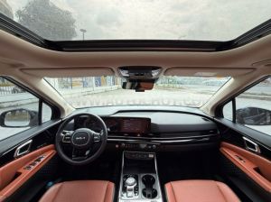 Xe Kia Carnival Signature 2.2D 2025