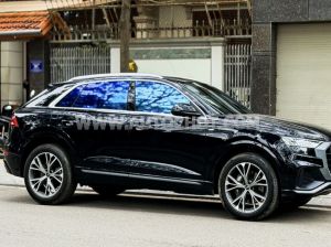 Xe Audi Q8 55 TFSI S-Line Quattro 2021
