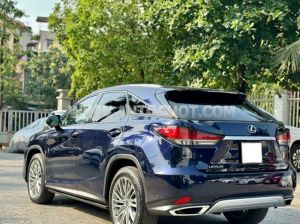 Xe Lexus RX 300 2020