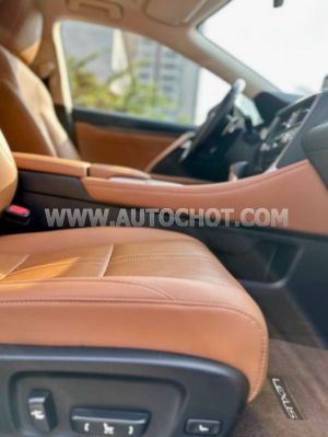 Xe Lexus RX 300 2020