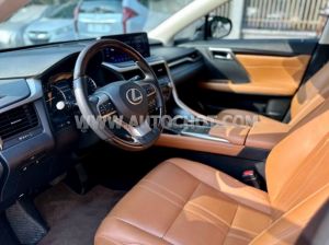 Xe Lexus RX 300 2020