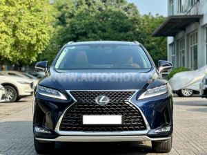 Xe Lexus RX 300 2020