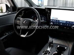 Xe Lexus LM 500h 2024