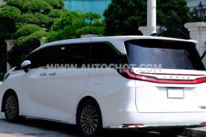 Xe Lexus LM 500h 2024