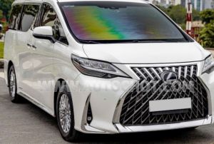 Xe Lexus LM 300h 2021