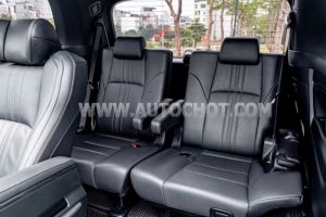 Xe Lexus LM 300h 2021