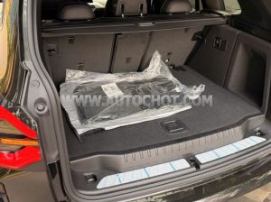 Xe BMW X3 xDrive20i M Sport 2022