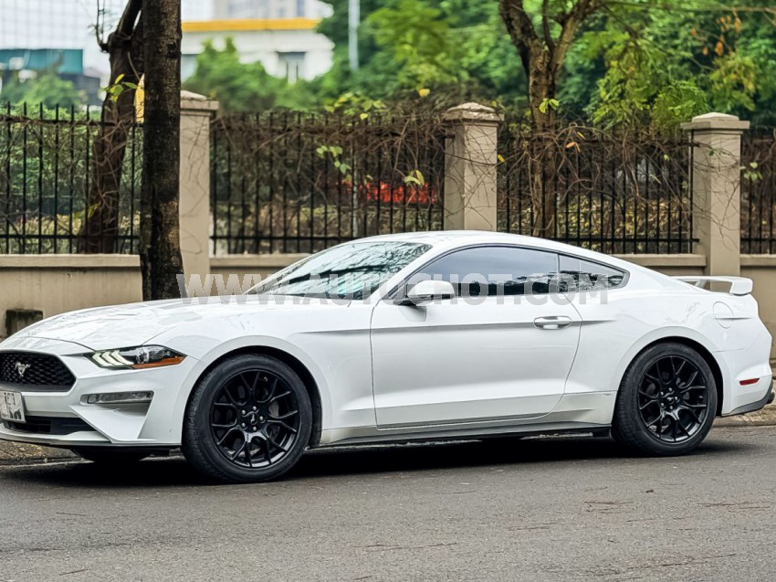 Xe Ford Mustang EcoBoost Fastback 2018