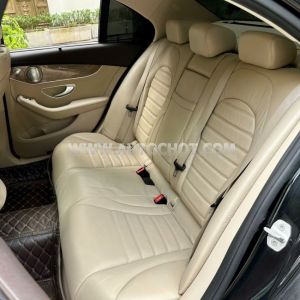 Xe Mercedes Benz C class C250 Exclusive 2015