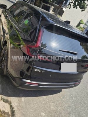 Xe Honda CRV L 2024