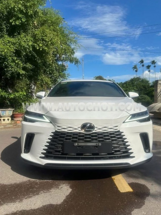 Xe Lexus RX 350 Premium 2025