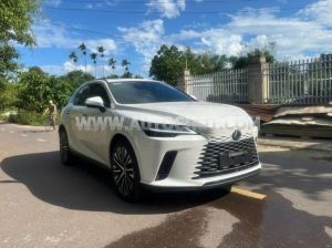 Xe Lexus RX 350 Premium 2025