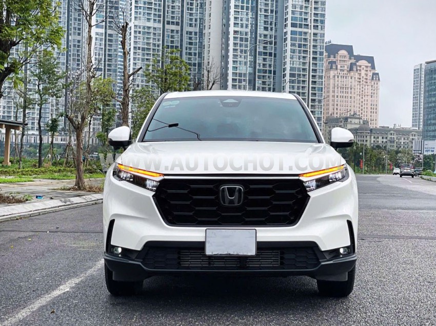 Xe Honda CRV L 2025
