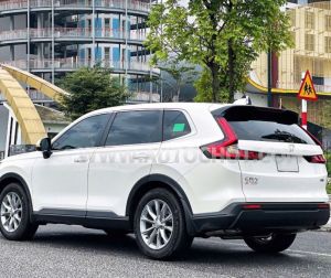 Xe Honda CRV L 2025