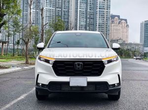 Xe Honda CRV L 2025