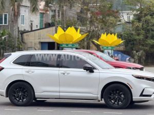 Xe Honda CRV e:HEV RS 2024