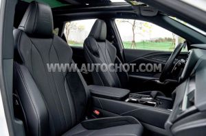 Xe Lexus RX 500h F Sport Performance 2025